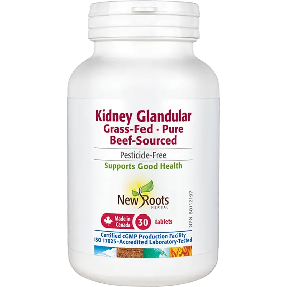 Kidney Glandular